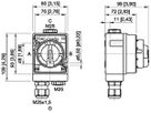 AP-Drehschalter STAHL 8040/11-V30-035-B, 2L, 16A, 690VAC