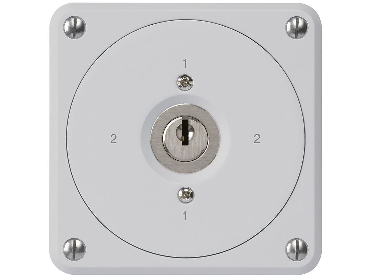 UP-Schlüsselschalter robusto ohne Klappdeckel 3/1P grau für Kombination