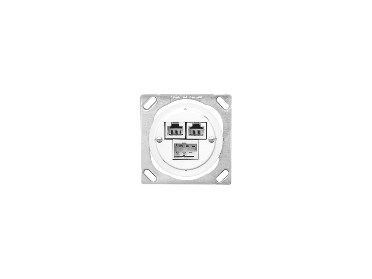 EB-Anschlussdose IK 1×TT,2RJ45 weiss