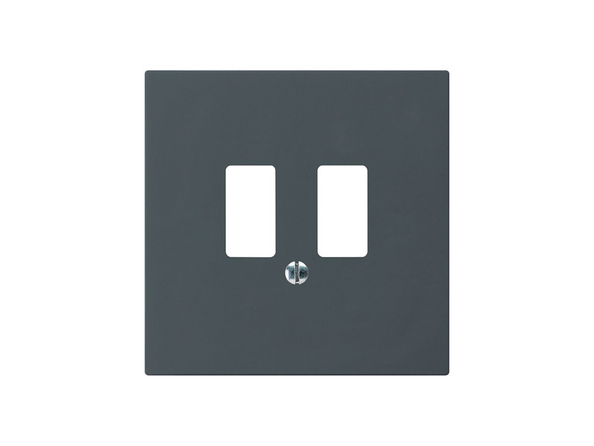 Frontplatte kallysto für USB-Steckdose anthrazit