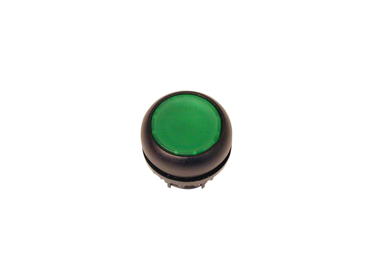 Drucktaste ETN RMQ flach grün, tastend, Ring schwarz