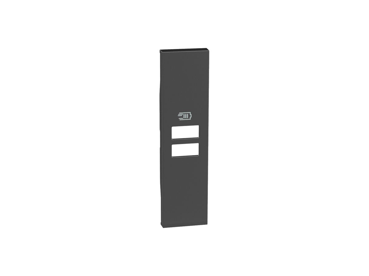 Abdeckung Legrand Living Now 2×USB 22×86×7mm schwarz IP20