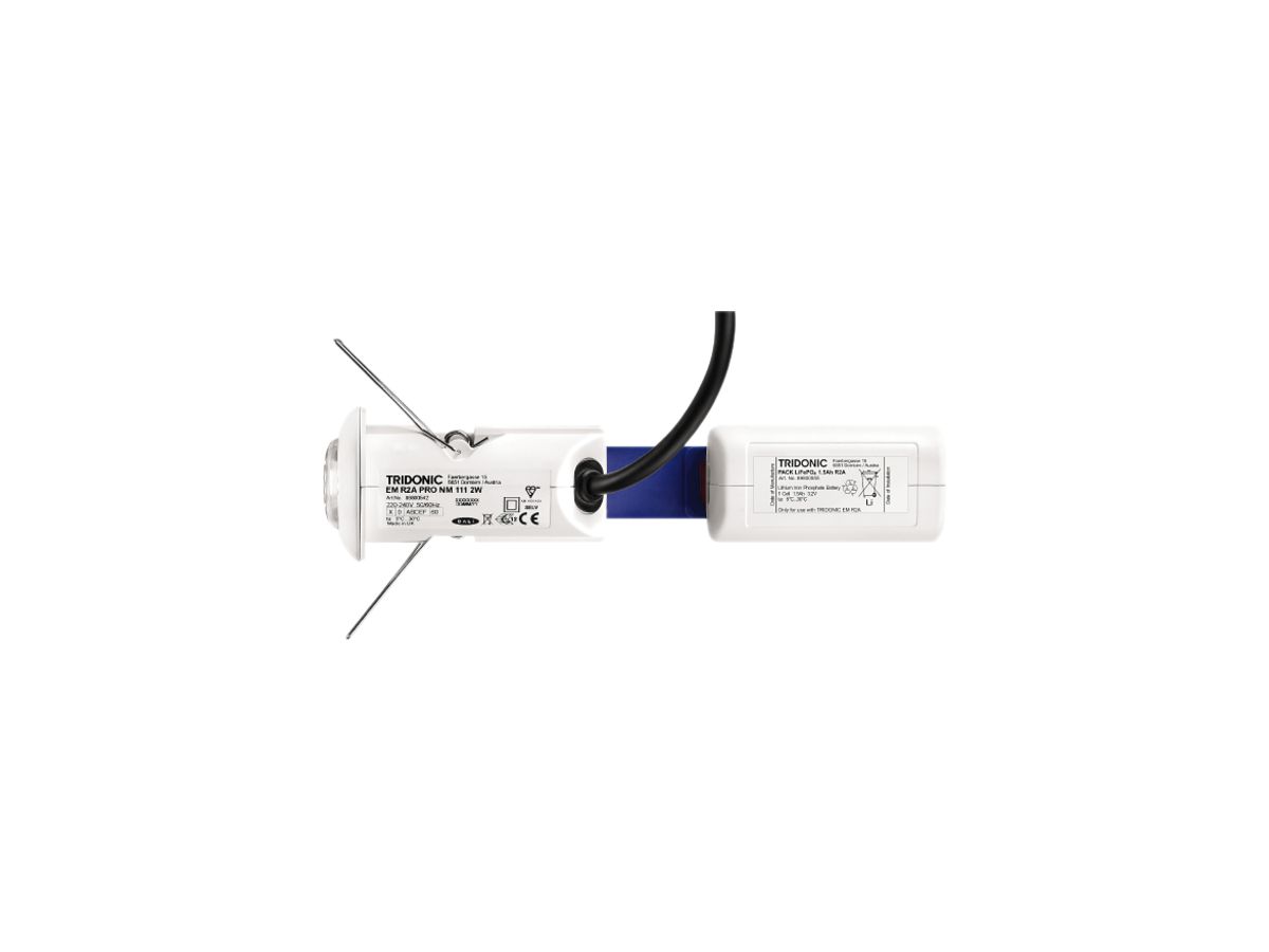 EB-LED-Sicherheitsleuchte mit LED EM R2A BASIC NM 111 2W