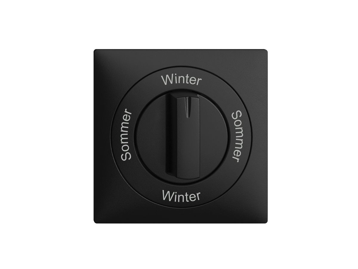 Frontset Sommer-Winter-Sommer-Winter EDIZIOdue 60×60mm schwarz