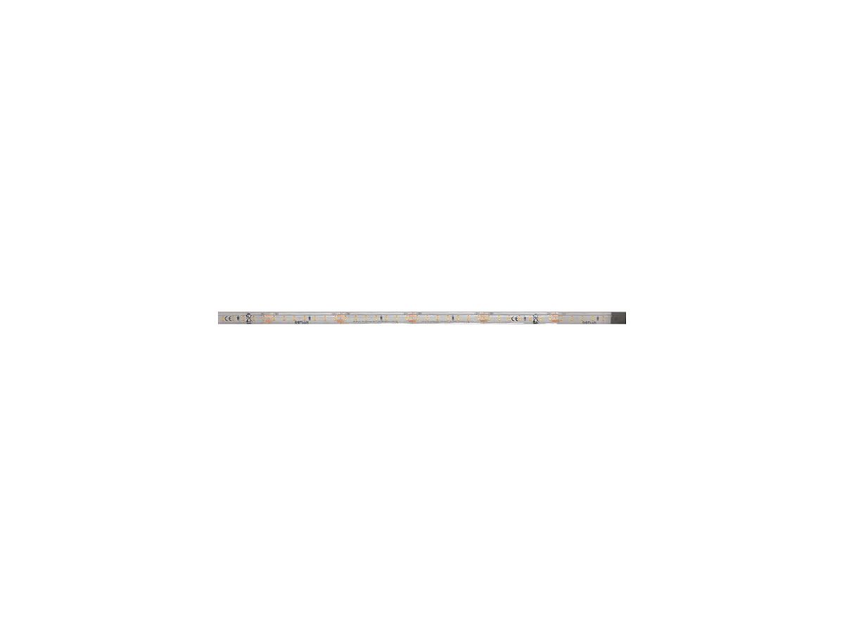 LED-Streifen DOTLUX, 48W, 10mm, 4000K, 5m-Rolle, m.Anschlusskabel 15cm, IP66