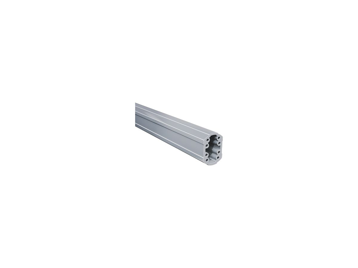 Tragarmprofil Rittal CP 6206.025 250mm für CP60 Aluminium