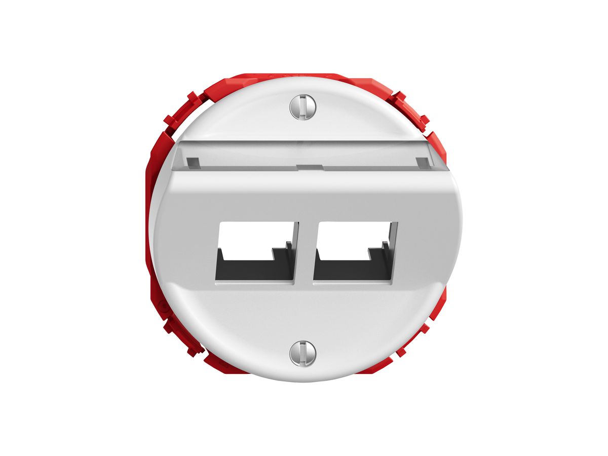 Montageset STANDARDdue EASYNET S-One SNAPFIX® schräg für 2×RJ45 ws