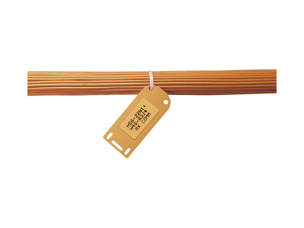 Kabelmarkierungshalter Panduit SLCT-OR 76.2×33.3mm orange