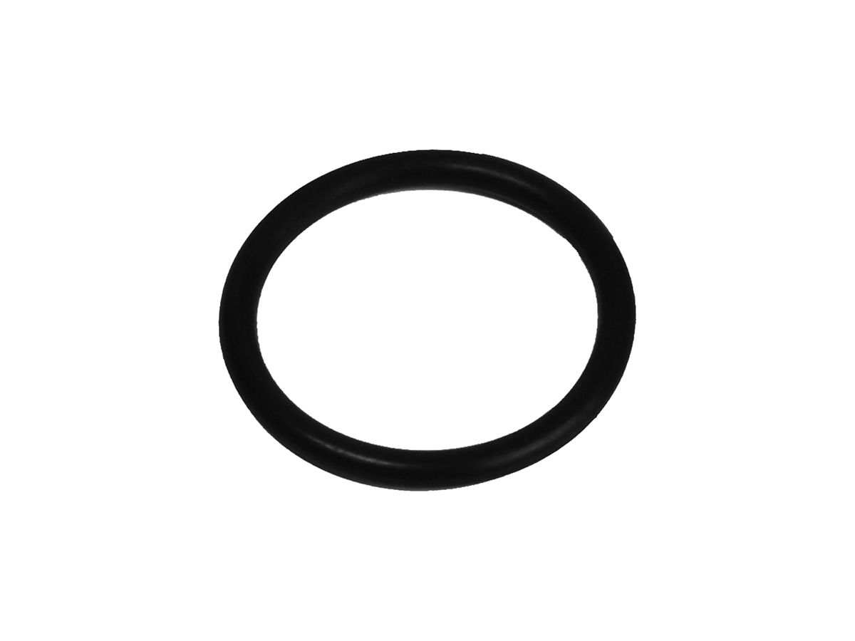 O-Ring Plica Viton M32
