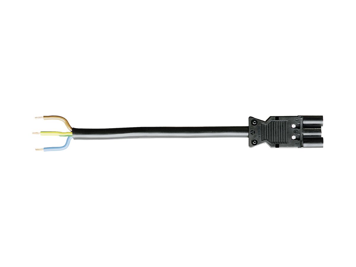 Anschlussleitung Wieland GST18i3 3×2.5mm² 250V 20A 3m schwarz Stecker, Cca