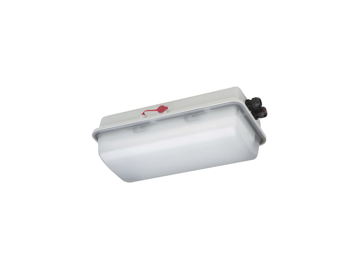 LED-Rettungszeichenleuchte Ex SCHUCH e856F L05/3/2.5 6W 510lm