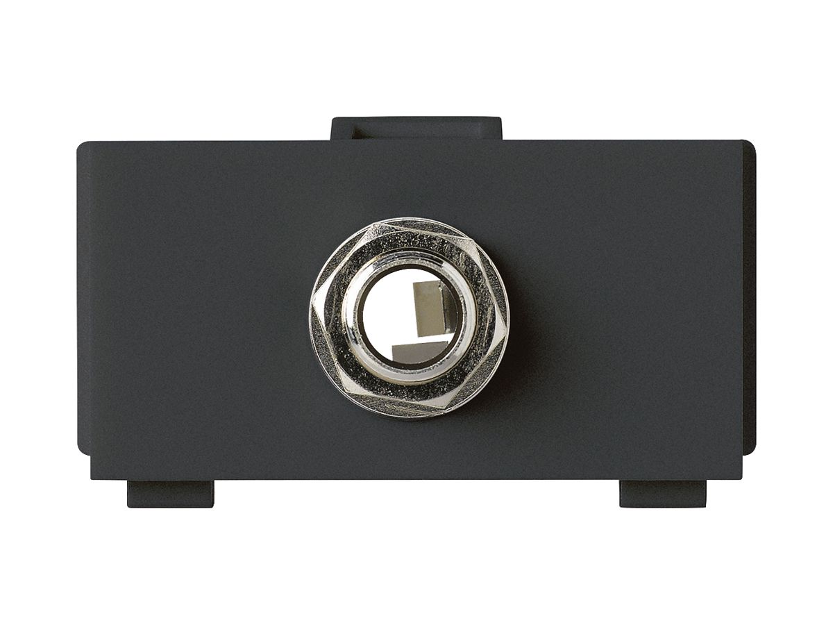 Multimedia-Modul kallysto M3 mit 1×Klinke 6.35 stereo schwarz