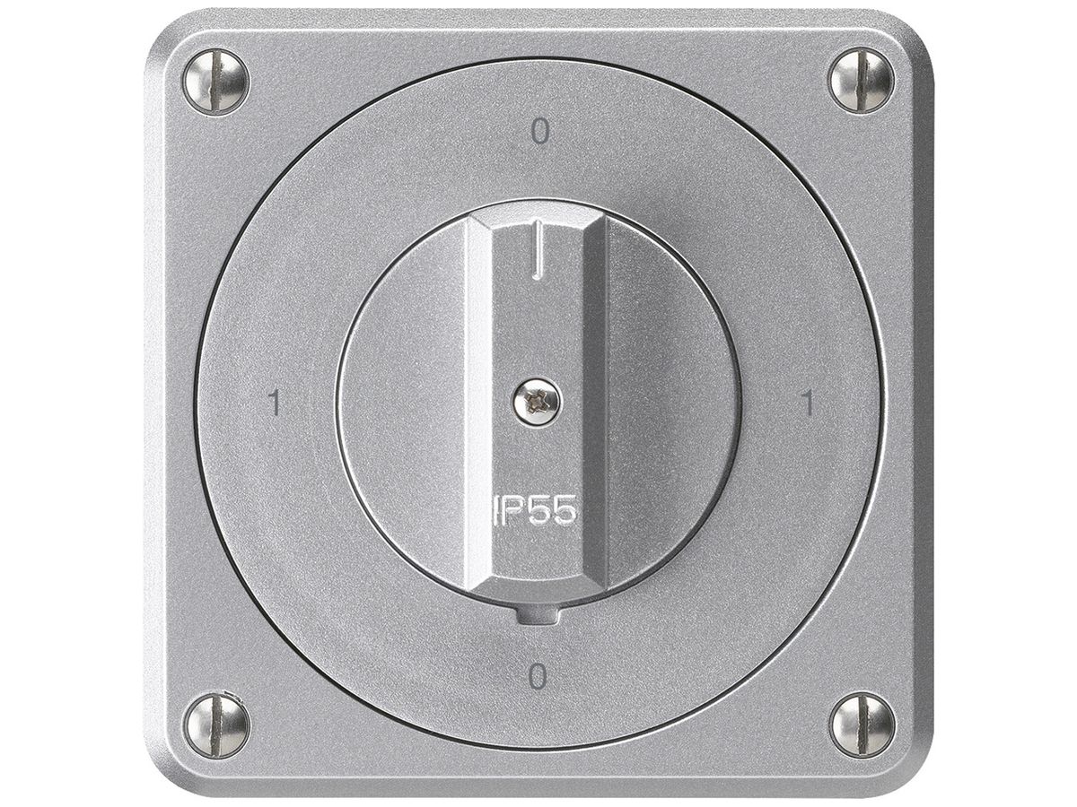 UP-Drehschalter robusto IP55 S0/1P aluminium für Kombination