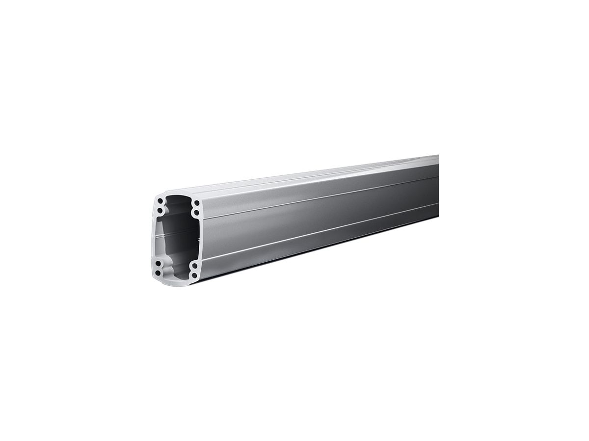 Tragarmprofil Rittal CP 6218.100 1000mm für CP180 Aluminium